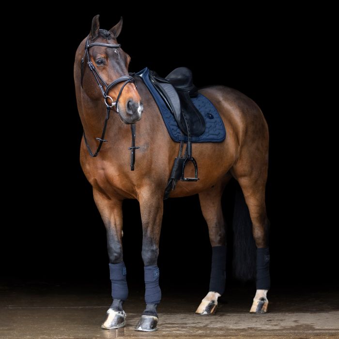 Saddlepad ESLiona DR - 5001 - Navy