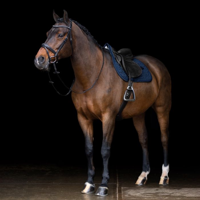Saddlepad ESLiona GP - 5001 - Navy