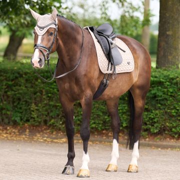 Fliegenhaube ES-Cato -  Tundra