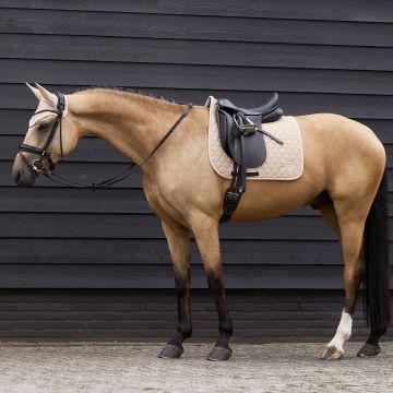 Fliegenhaube ES-Coco -  Beige