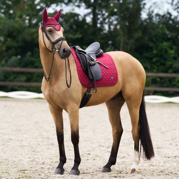 Schabracke ES-Cato Dressur -  Amarena